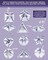 The Quilted Bear Star Quilting Templates – 8 Clear Non-Slip Acrylic Quilt Templates for Precise Fabric Cutting & Stress-Free Machine Quilting - Ideal for Quilt & Sewing Supplies (¾–3")